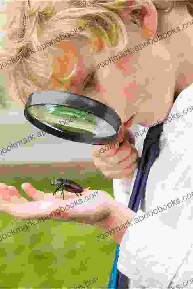 A Close Up Of A Person's Hand Holding A Magnifying Glass, Examining A Tiny Insect Magnetic North Linda Gregerson