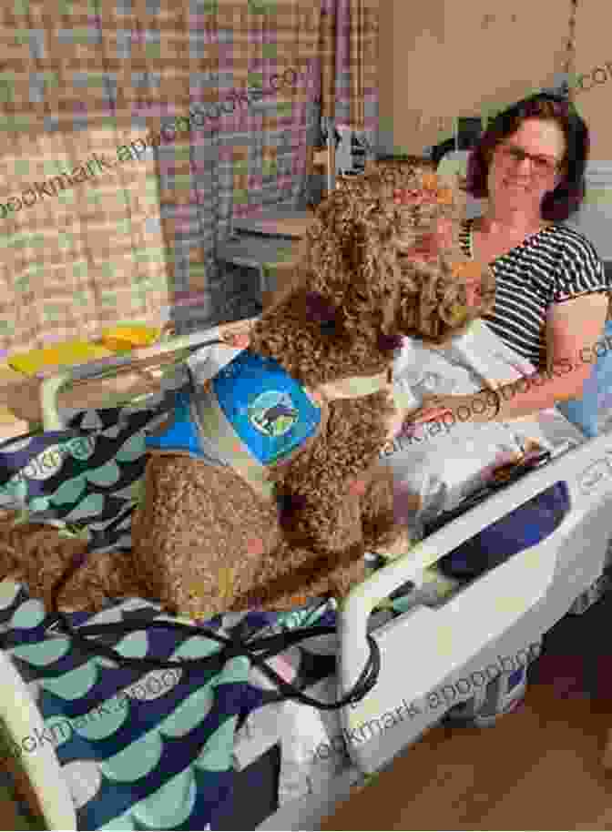 A Dog Working As A Therapy Dog The New Work Of Dogs: Tending To Life Love And Family