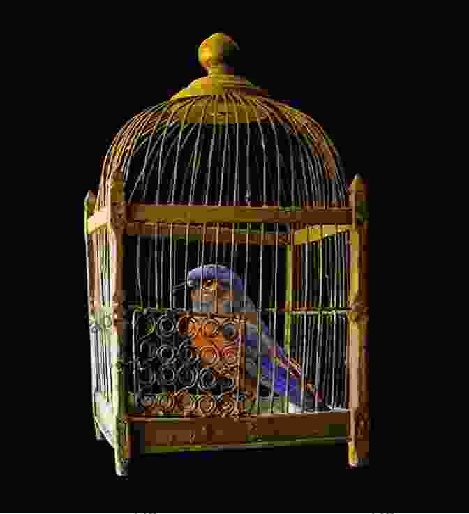 A Gilded Cage Adorned With Intricate Golden Bars, Representing The Opulent Yet Restrictive Nature Of Jordan's Elite Society. The Gilded Cage (Jordan Hedi Productions Year 1)