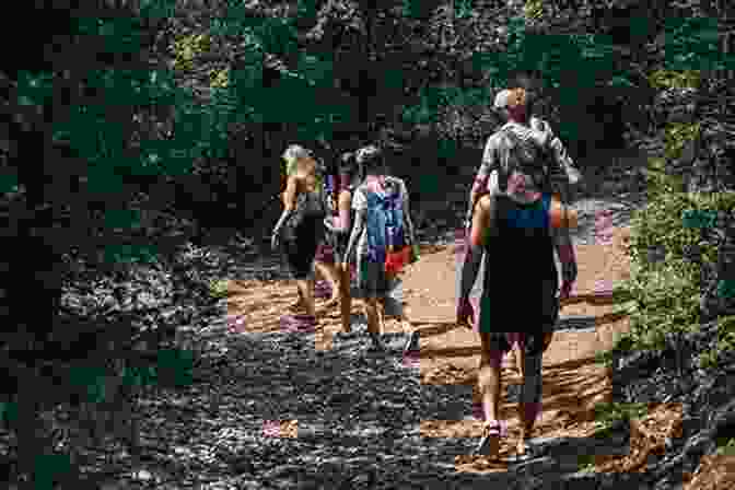 A Group Of Hikers Walk Through A Lush Forest. Vintage Treks Dr Lew Deitch