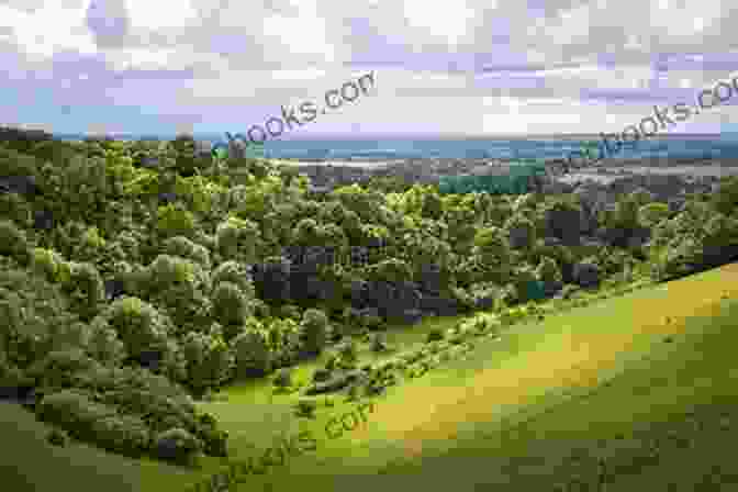 A Panoramic View Of The Rolling Hills And Lush Greenery Of Buckinghamshire Light Shining In Buckinghamshire Dr Harrison Sachs