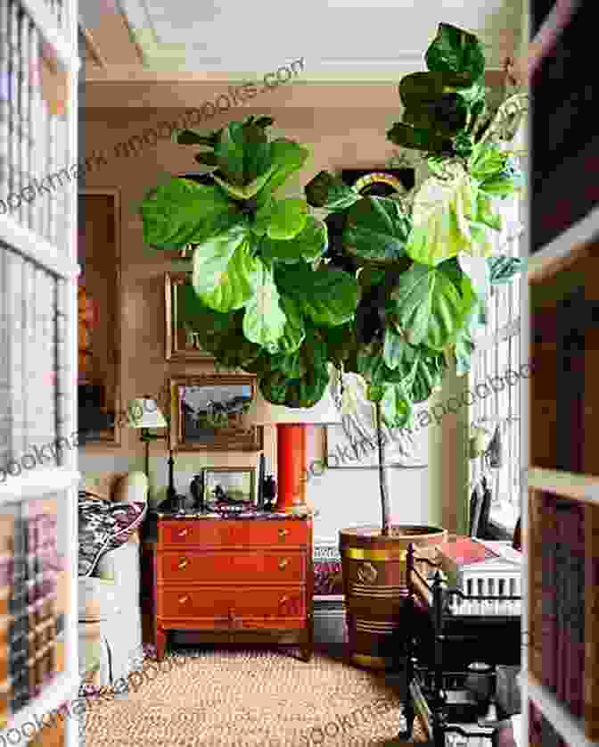 A Room With A Variety Of Plants, Including A Large Fiddle Leaf Fig Tree. Overlay Crochet: 10 Projects Add Dimension And Style To Your Home