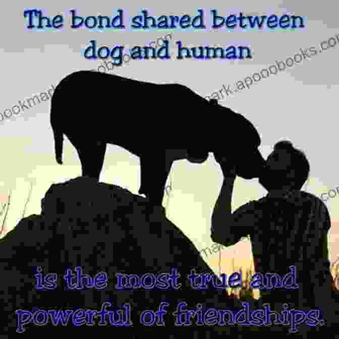 A Tender Moment Shared Between A Human And Their Dog Who Let The Dogs In?: Incredible Political Animals I Have Known