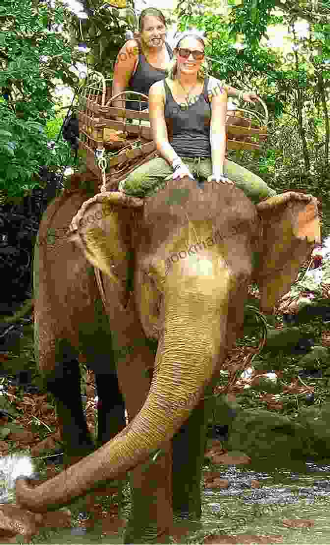 A Woman Riding An Elephant Through A Jungle In Southeast Asia Riding Elephants Dr Jennifer Cox