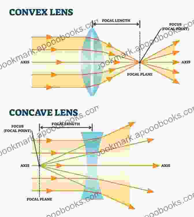 Diagram Of The Lens A Passage Into The Eye: Understanding Of The Eye From Tear Film To Photoreceptors With An Application Of Optical Coherence Tomography (OCT)