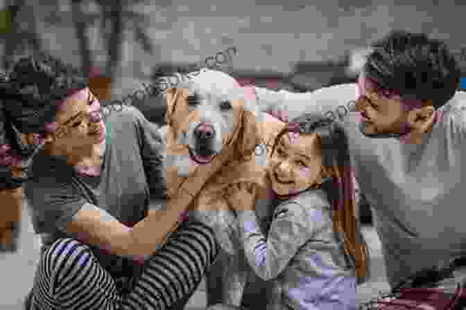 Dog And Owner Enjoying A Moment Of Affection How To Get Your Dog To Do What You Want: A Loving Approach To Unleashing Your Dog S Astonishing Potential