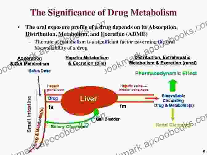 Drug Metabolism: Understanding Drug Transformation Principles Of Medicinal Chemistry: All Is Here