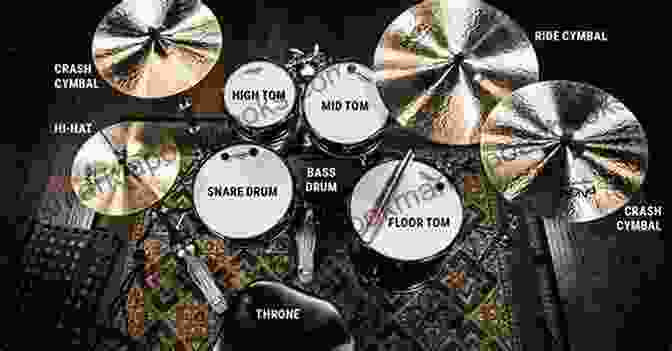 Drum Types Drum Playing Guide For Beginners: History Types Lessons And More For Drummers