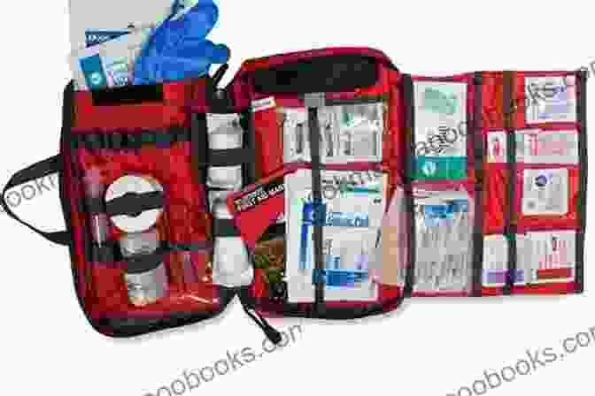 Image Of A Well Stocked Tool Kit A Moron S Guide To Auto Repair: Manuals Tools Kits The Basics Of It And More