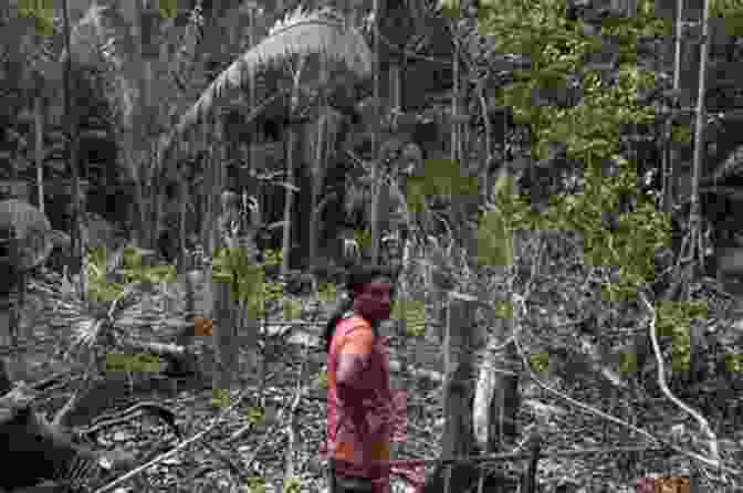 Image Of An Indigenous Community Facing Environmental Degradation Loss Of Indigenous Eden And The Fall Of Spirituality