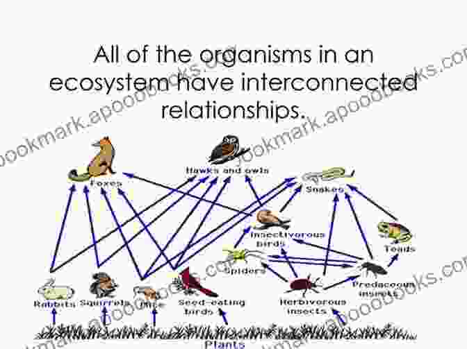 Interwoven Ecosystem, Depicting The Connections Between Plants, Animals, And The Environment Behind Every Blade Of Grass: 4