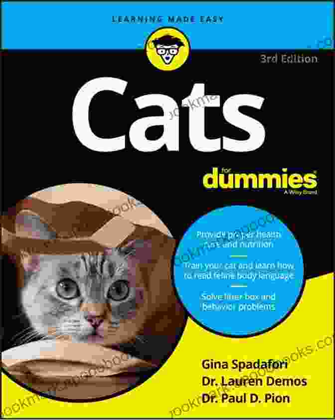 Kittens For Dummies Book Cover Kittens For Dummies Dusty Rainbolt