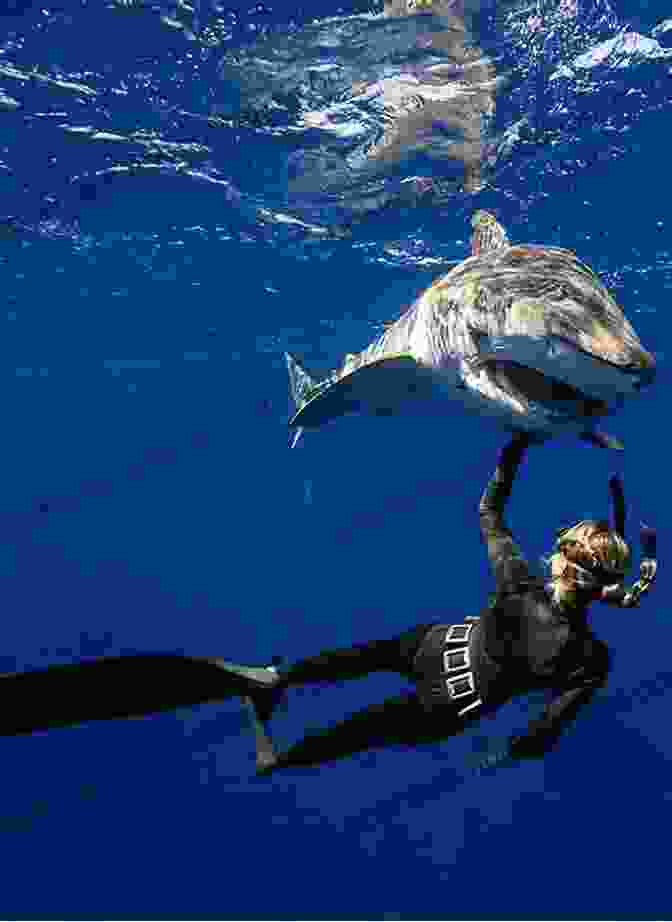 Marine Biologist Examining A Shark Up Close, Highlighting The Detailed Scientific Research Featured In The Book Shark In 5 Words: Wildlife Series: 2024