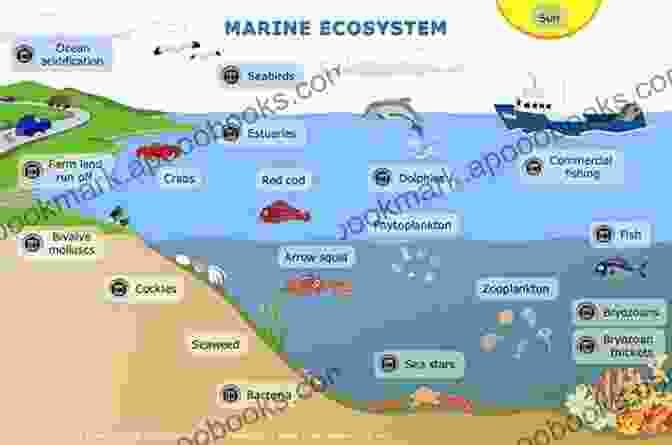 Mollusks As Ecological Engineers, Shaping The Marine Environment Through Their Grazing And Burrowing Activities. Molluscan Communities Of The Florida Keys And Adjacent Areas: Their Ecology And Biodiversity