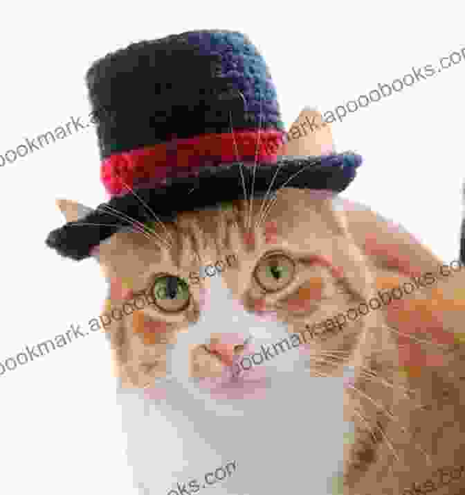 Mrs. Murphy, A Tabby Cat Wearing A Detective's Hat Murder On The Prowl: A Mrs Murphy Mystery