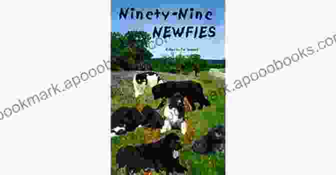 Ninety Nine More Newfies Book Cover Ninety Nine MORE Newfies Pat Seawell