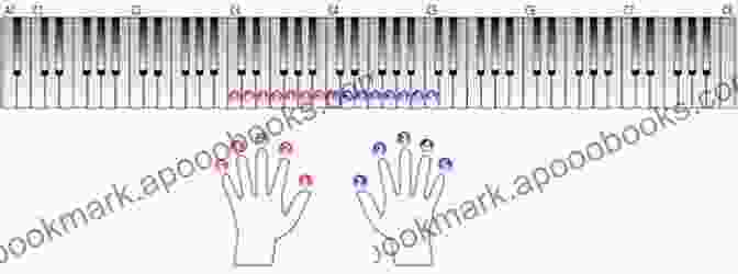 Piano Keys With Fingers Practicing Scales Alfred S Basic Adult Piano Course Notespeller 1: Learn How To Play Piano With This Esteemed Method