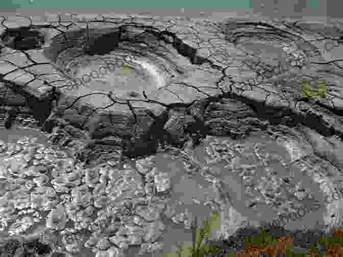 Steaming Fumaroles And Bubbling Mud Pots In Lassen Volcanic National Park Great American Wilderness: Touring The National Parks Of California