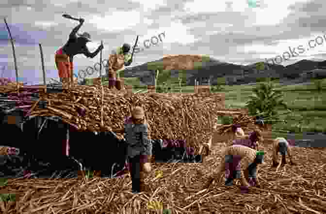 The Bas Thornton Children Playing In The Cane Fields A High Wind In Jamaica