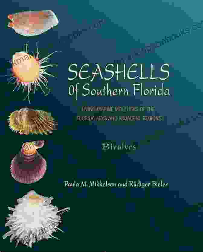 The Economic And Cultural Importance Of Mollusks In The Florida Keys And Beyond. Molluscan Communities Of The Florida Keys And Adjacent Areas: Their Ecology And Biodiversity