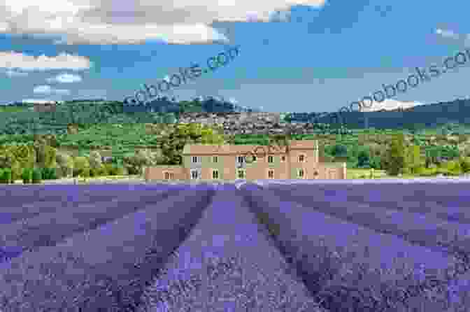 The Ford Pauses Amidst A Field Of Lavender In Provence TO NOTO: Or London To Sicily In A Ford