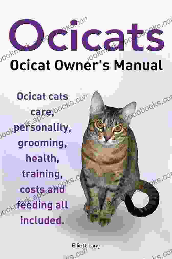 The Pet Guide On Ocicat Care Training Breeding Grooming Housing Feeding Health Ocicat Owner : The Pet Guide On Ocicat Care Training Breeding Grooming Housing Feeding Health And Lot More