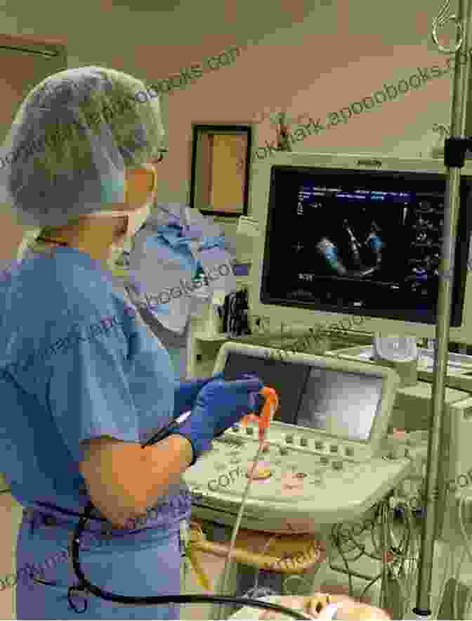 Transesophageal Echocardiography Essential Echocardiography: Transesophageal Echocardiography For Non Cardiac Anesthesiologists