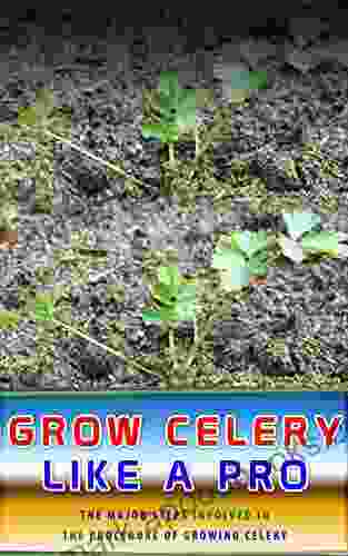 Grow Celery Like A Pro: The Major Steps Involved In The Procedure Of Growing Celery