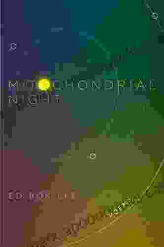 Mitochondrial Night Ed Bok Lee