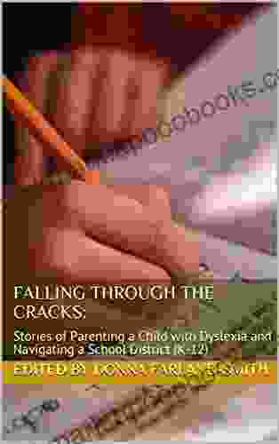 Falling Through The Cracks: Stories Of Parenting A Child With Dyslexia And Navigating A School District (K 12)