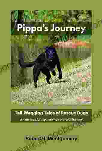 Pippa S Journey: Tail Wagging Tales Of Rescue Dogs