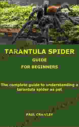 TARANTULA SPIDER GUIDE FOR BEGINNERS: The Complete Guide To Understanding A Tarantula Spider As Pet