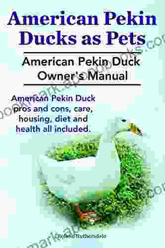 Pekin Ducks As Pets American Pekin Duck Owner S Manual American Pekin Duck Care Pros And Cons Housing Health And Diet All Included