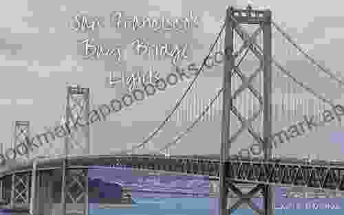 San Francisco S Bay Bridge Lights: A Personal Collection Of Photographs Of The San Francisco Oakland Bay Bridge Lights