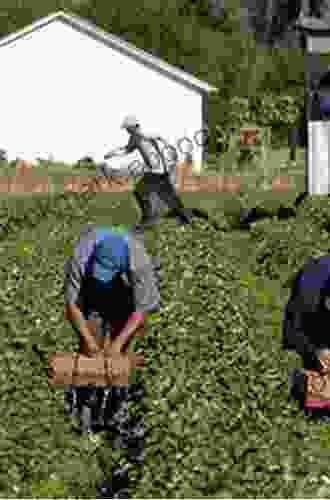 Farm Workers In Western Canada: Injustices And Activism