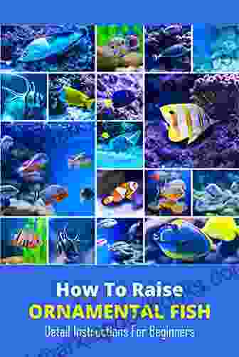 How To Raise Ornamental Fish: Detail Instructions For Beginners