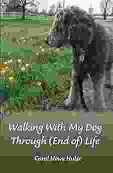 Walking With My Dog Through (End Of) Life